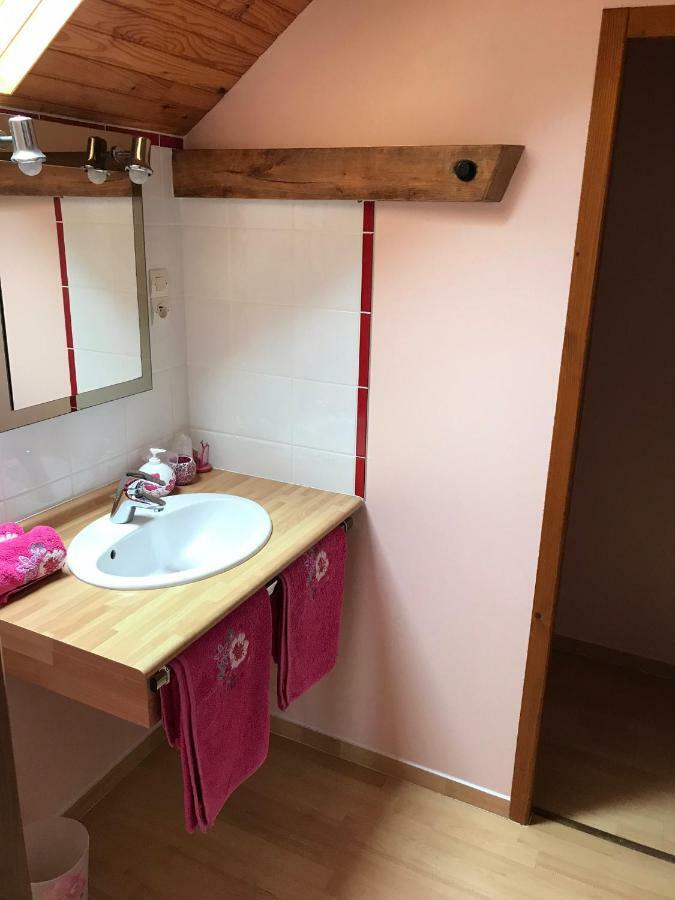 Mountain Vacances - Maison Rachou Lanne-en-Baretous Zewnętrze zdjęcie